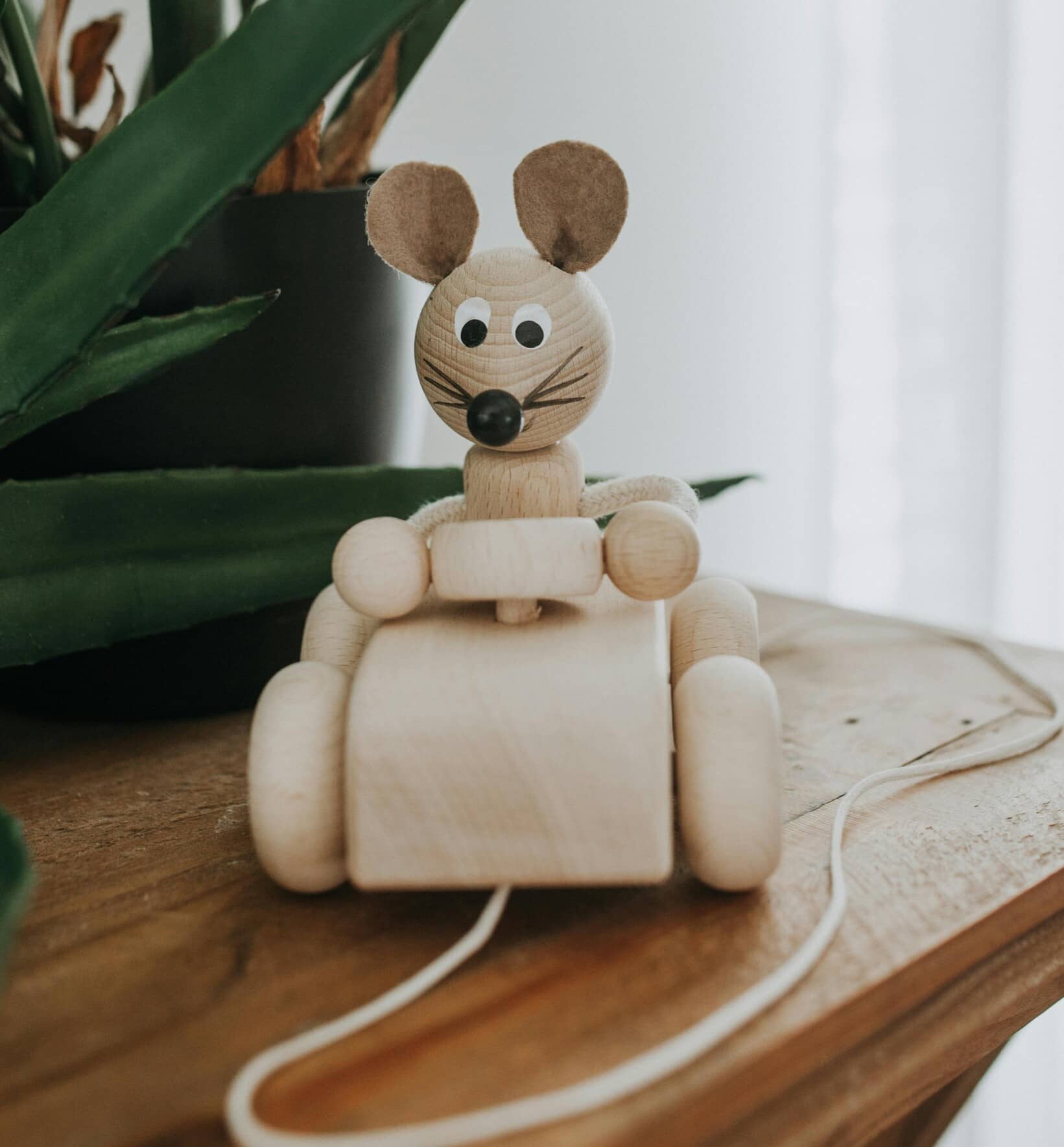 Jouets à tirer et à pousser en bois pour bébés et enfants à partir de 12 mois.
